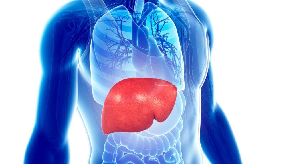Liver Transplant in India