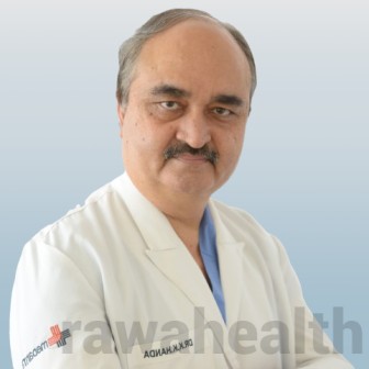 Dr. K K Handa