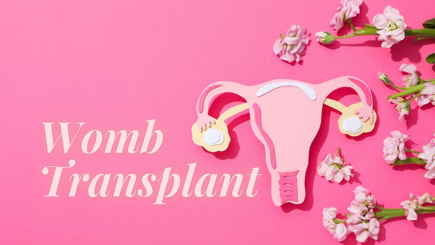 Womb Transplant In India