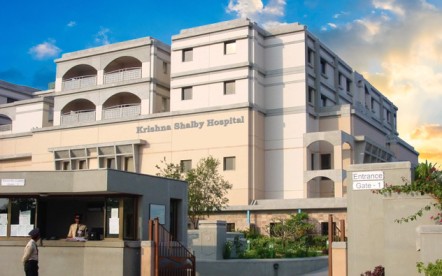 Krishna Shalby Hospital Ghuma