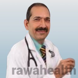Dr. V K Aneja
