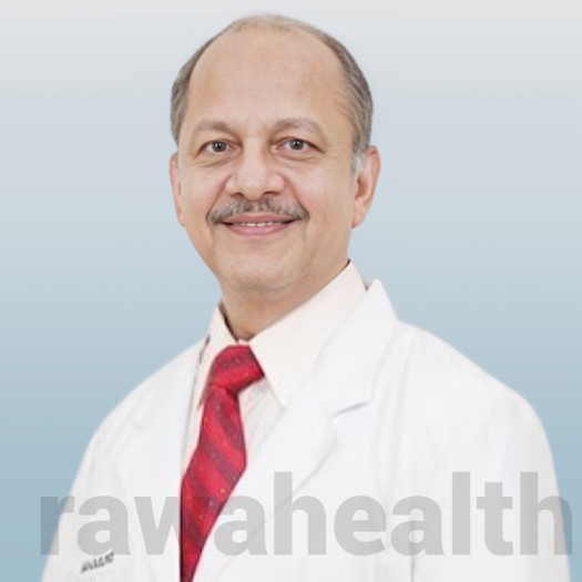 Dr. B B Aggarwal